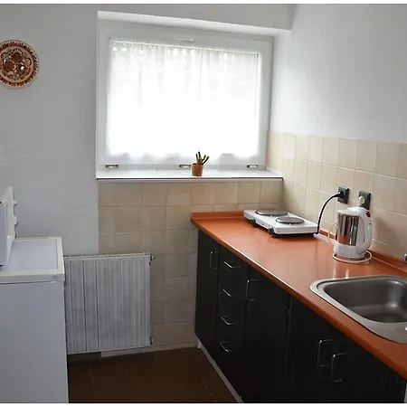 아파트 Dvoracek *