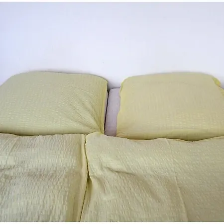 아파트 Dvoracek *