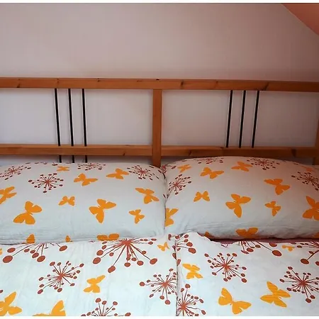 Dvoracek Svoboda nad Úpou