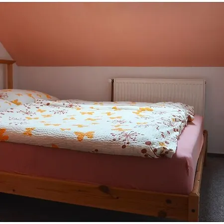 아파트 Dvoracek *